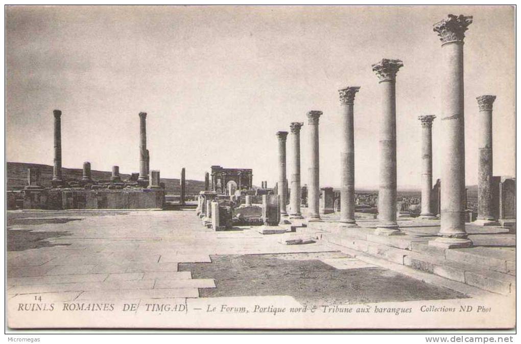 Algérie - Ruines Romaines de TIMGAD - Le Forum - Portique nord & Tribune aux harangues