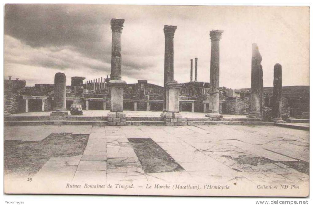 Algérie - Ruines Romaines de TIMGAD - Marché (Marcellum) - L´Hémicycle