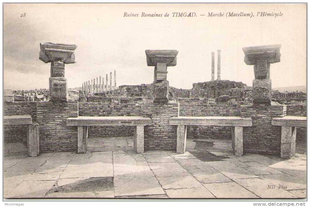 Algérie - Ruines Romaines de TIMGAD - Marché (Marcellum) - L'Hémicycle