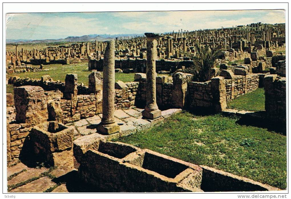 RUINES ROMAINES DE TIMGAD VUE GENERALE