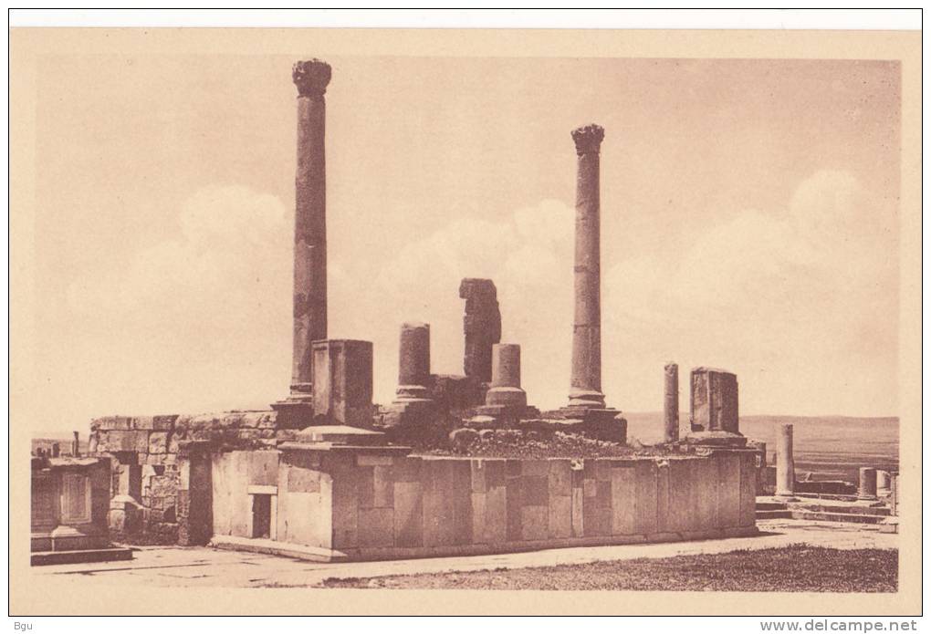 Timgad (Algérie) - Colonnades et Tribunes aux harangues du Forum
