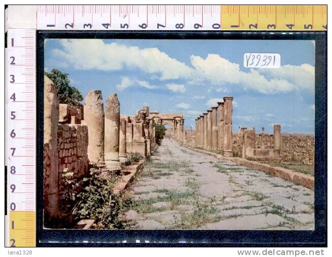 V39391 ALGERIA TIMGAD DUCI MAGNUS MAXIMUM