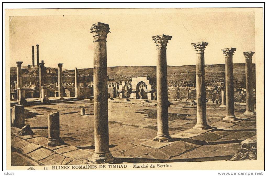 RUINES ROMAINES DE TIMGAD  MARCHE DE SERTIUS