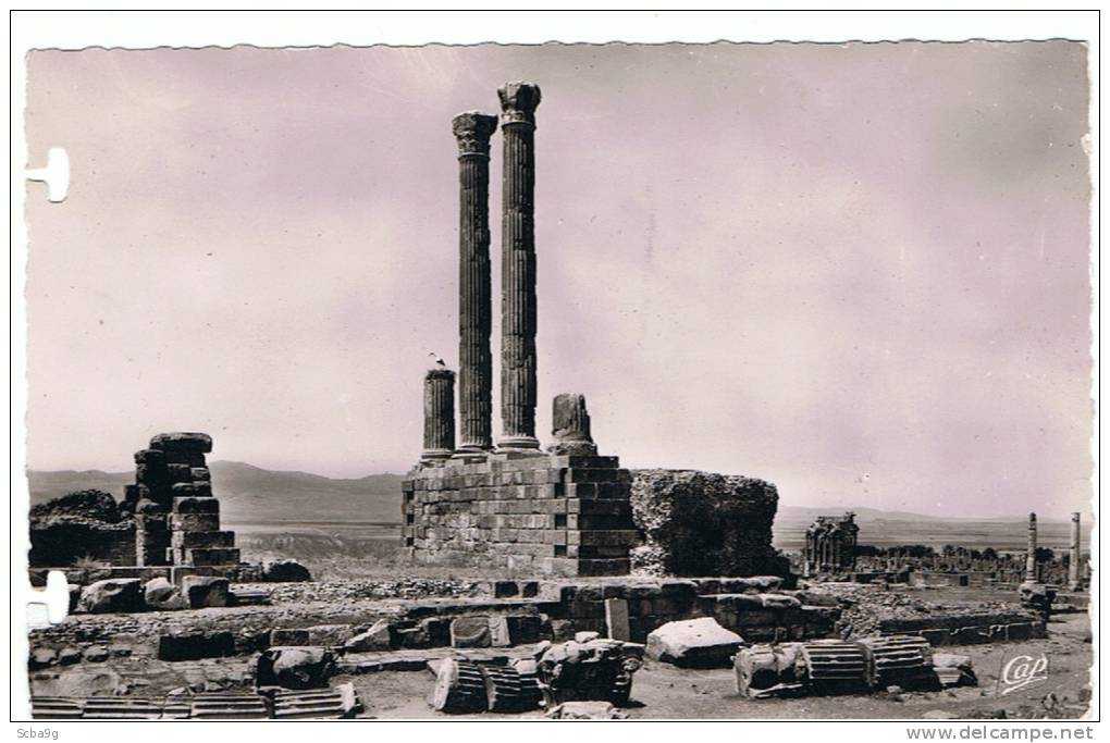 RUINES ROMAINES DE TIMGAD  COLONNE DU PRONAOS DU CAPITOLE