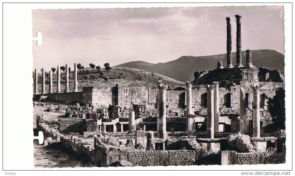 RUINES ROMAINES DE TIMGAD  MARCHE DE SERTIUS ET LE CAPITOLE