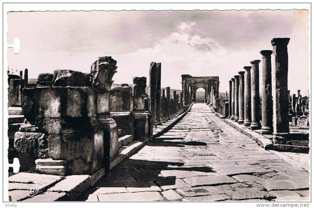 RUINES ROMAINES DE TIMGAD  VOIE DU DECUMANUS ET ARC DE TRAJAN