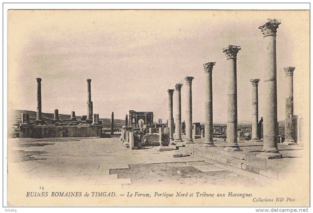 RUINES ROMAINES DE TIMGAD  LE FORUM PORTIQUE NORD ET TRIBUNE AUX HARANGUES