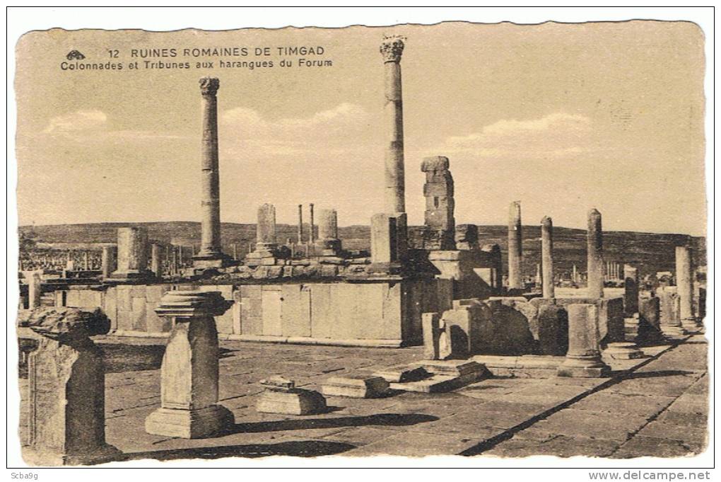 RUINES ROMAINES DE TIMGAD COLONNADES AUX HARANGUES DU FORUM