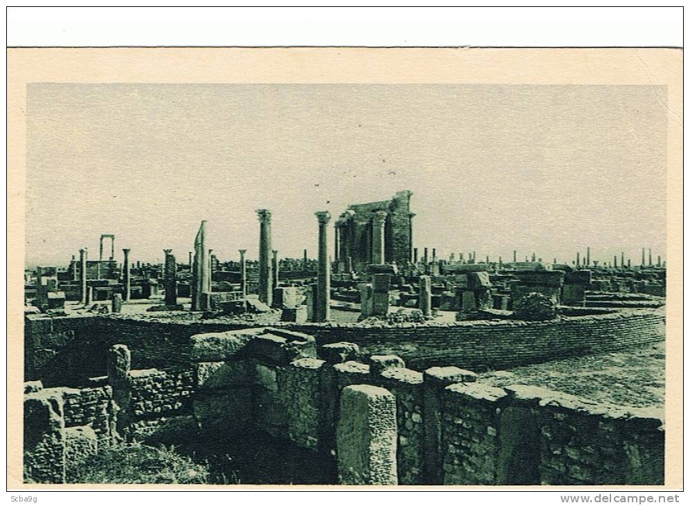RUINES ROMAINES DE TIMGAD VUE GENERALE