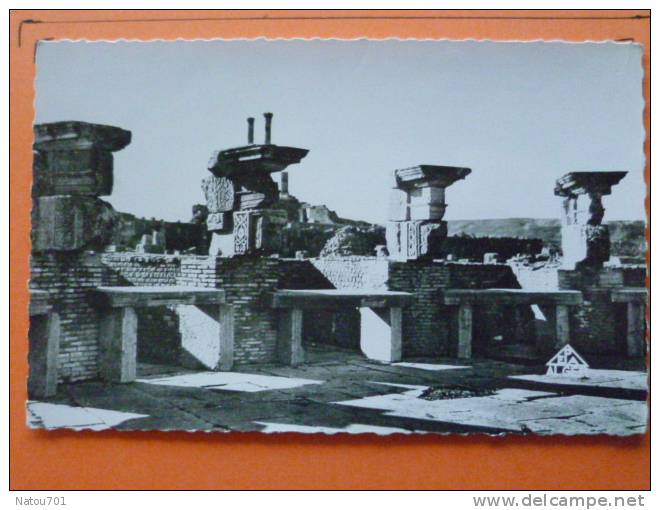 E1-algerie -timgad-constantine-ruine s romaines-boutiques du marché de sertuis-carte photo