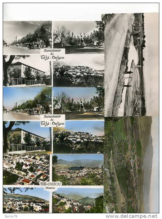 LOT de 28 CPA / CPSM  - ALGERIE - TIMGAD - BOU DENIB - TIZI OUZOU - TLEMCEN - BLIDA - SETIF - et autres - ttes Scannées