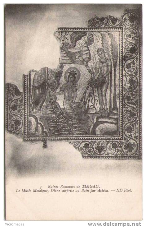 TIMGAD - Ruines Romaines-  Le Musée - Mosaique, Diane surprise au Bain par Actéon
