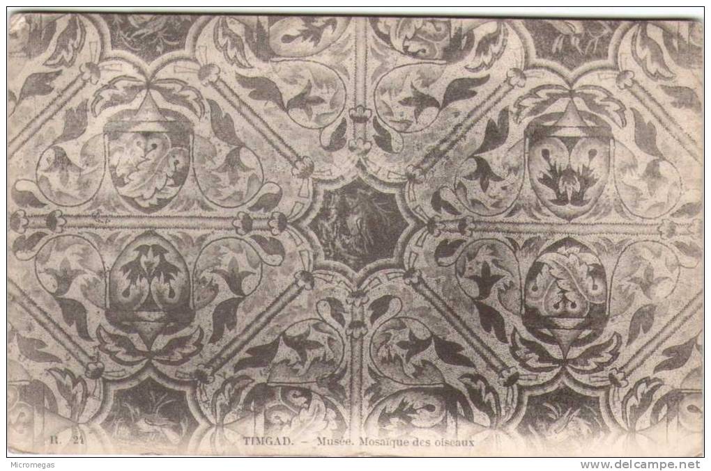 TIMGAD - Musée - Mosaïque des Oiseaux
