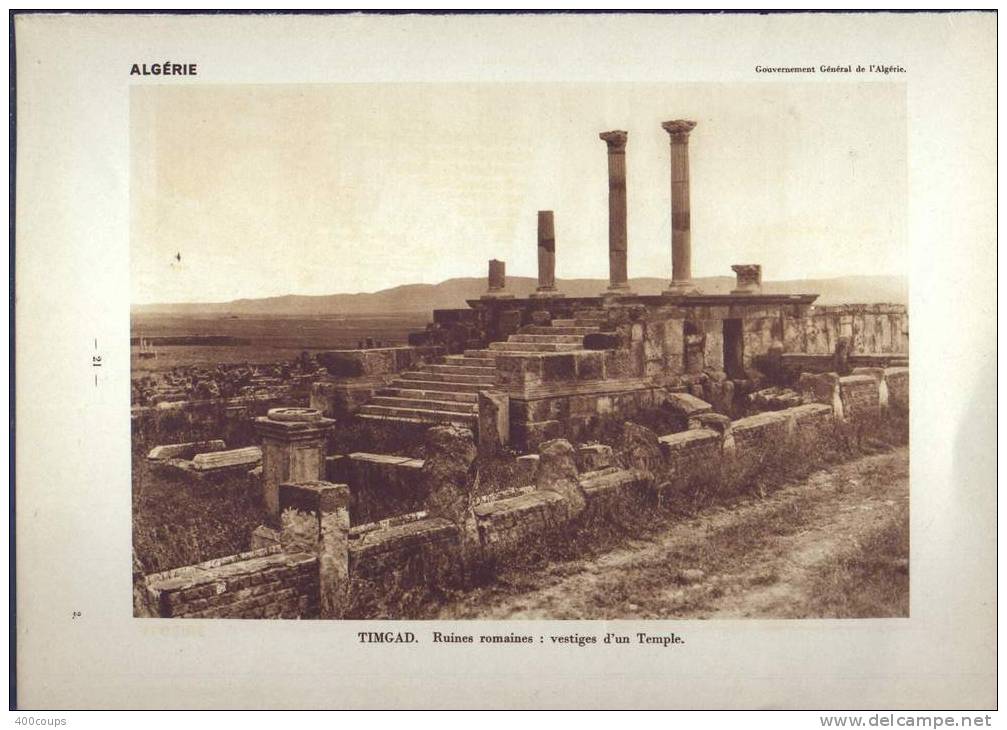 De 1931 - 81 ans d´âge - ALGERIE - TIMGAD, ruines romaines, vestiges d'un temple + Culture de la vigne + La palmeraie de