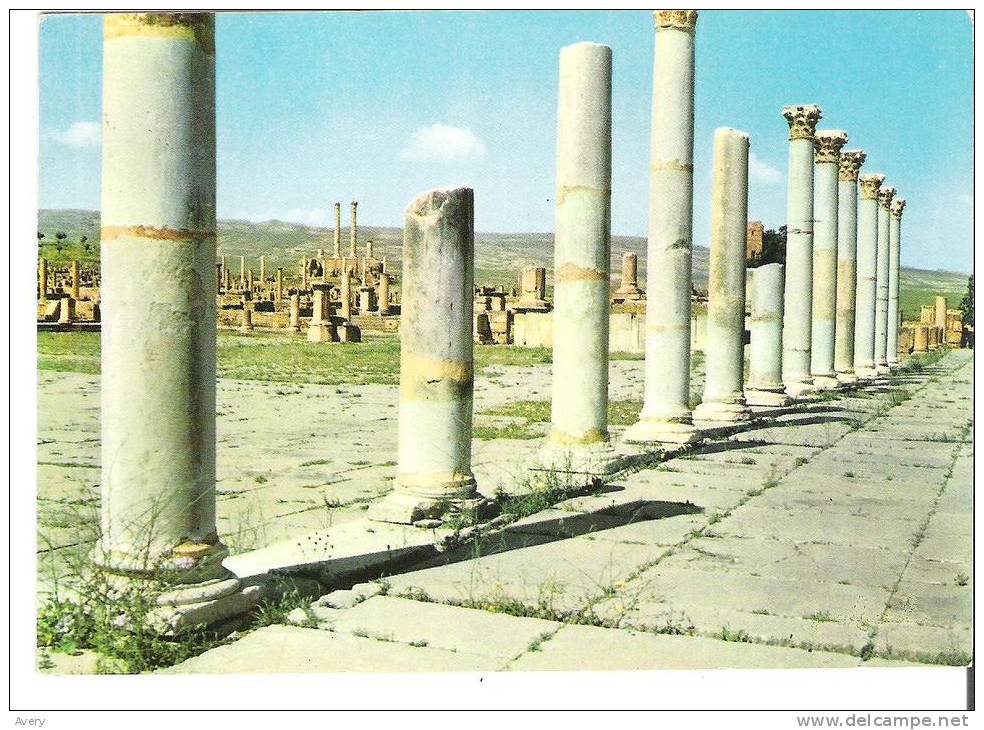 Algeria  -  Timgad  -  Le Forum   -   The Forum