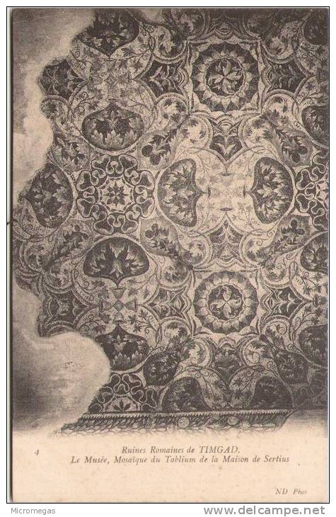 Ruines romaines de TIMGAD - Le Musée - Mosaïques du Tablium de la maison de Sertius