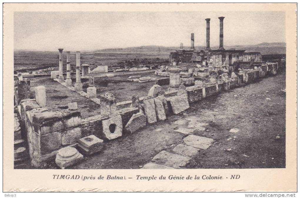 Algérie Timgad - Près de Batna, temple du génie de la colonie