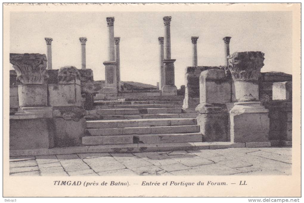 Algérie Timgad - Près de Batna, entrée et portique du forum