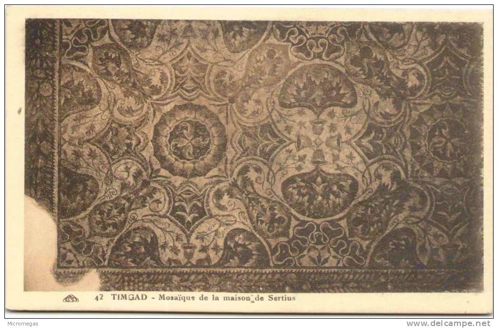 TIMGAD - Mosaïques de la Maison de Sertius