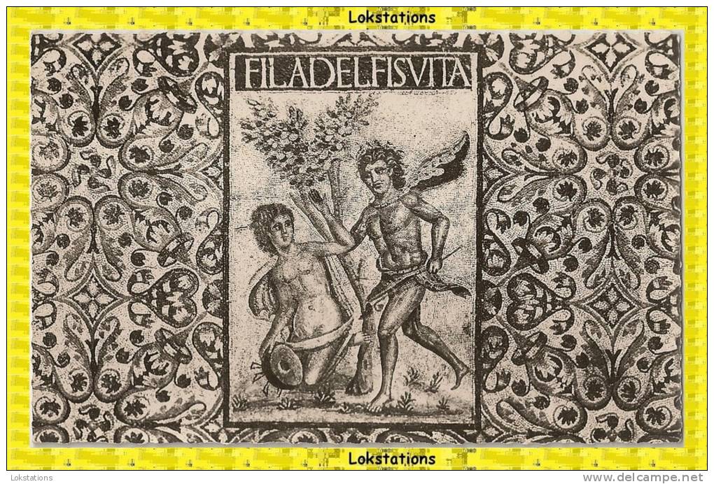 LES RUINES ROMAINES DE TIMGAD - Mosaique des Thermes des Filadelfes