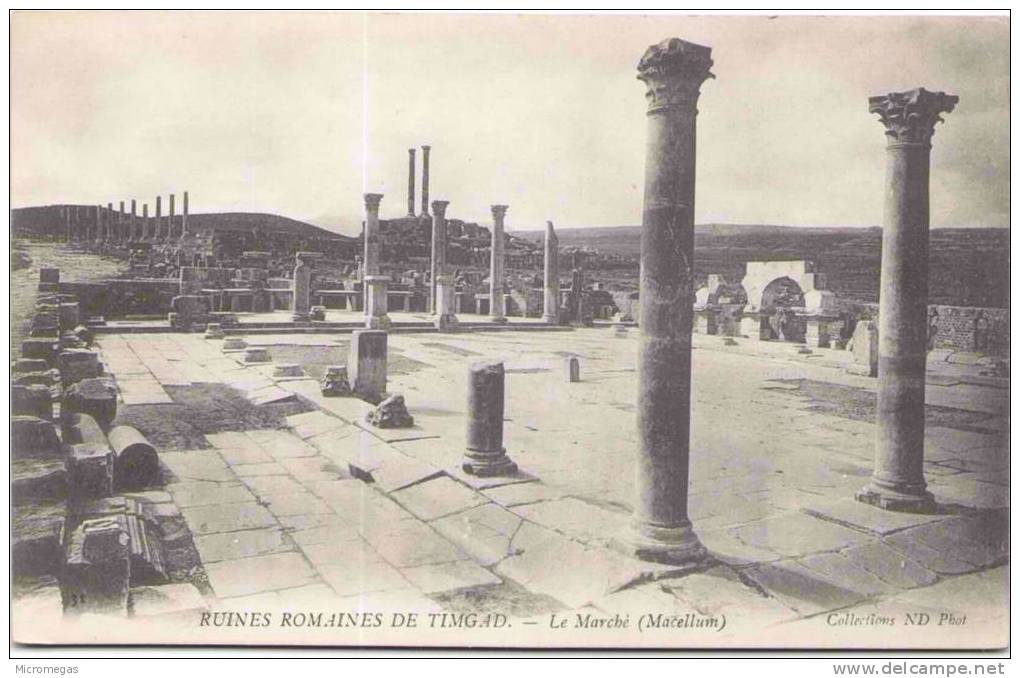 Ruines romaines de TIMGAD - Le Marché (Marcellum)