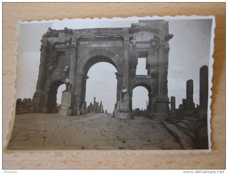 PHOTO PIERRE RIGAUD CONSTANTINE/RUINES ROMAINES TIMGAD
