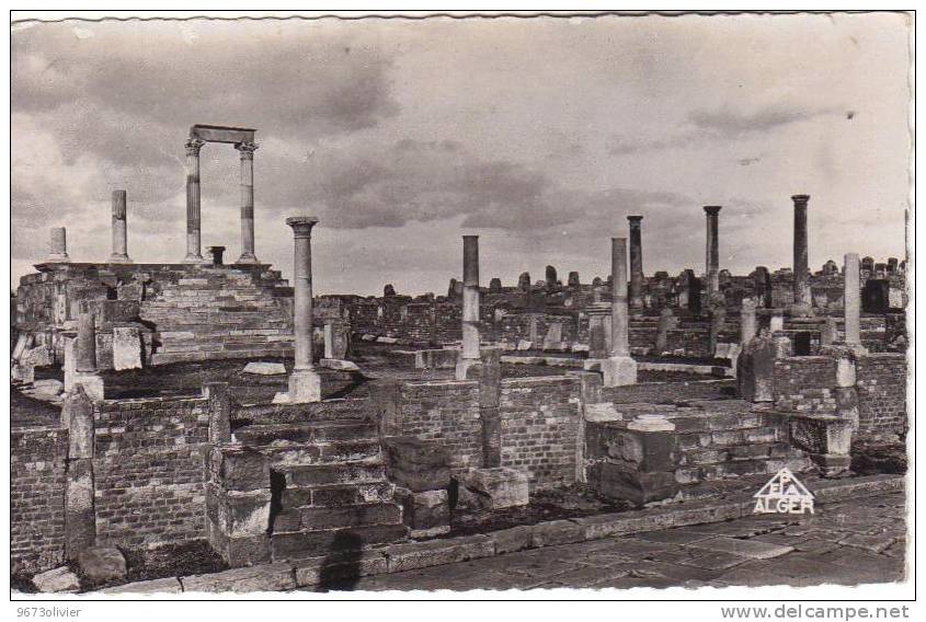 TIMGAD ( CONSTANTINE) TEMPLE DE LA COLONIE