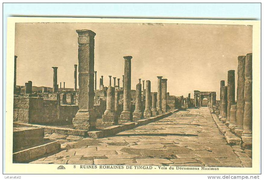 Ruines Romaines de TIMGAD /  Voie du Décumanus Maximus