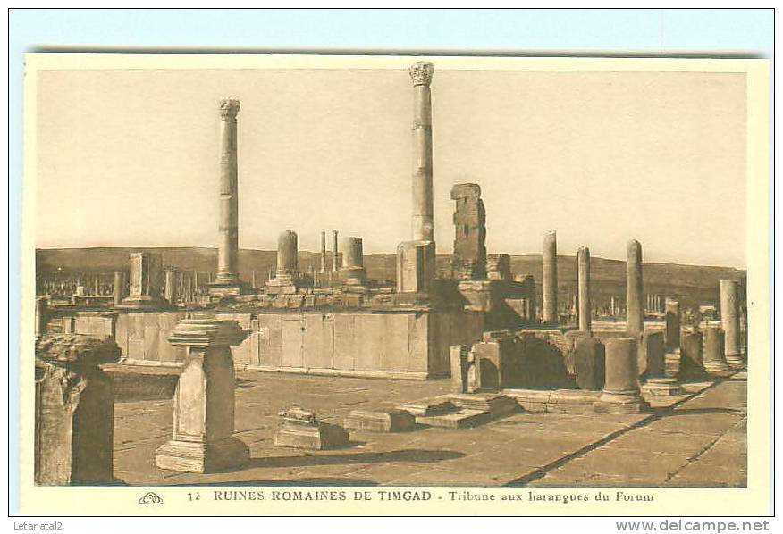 Ruines Romaines de TIMGAD / Tribune aux harangues  du Forum