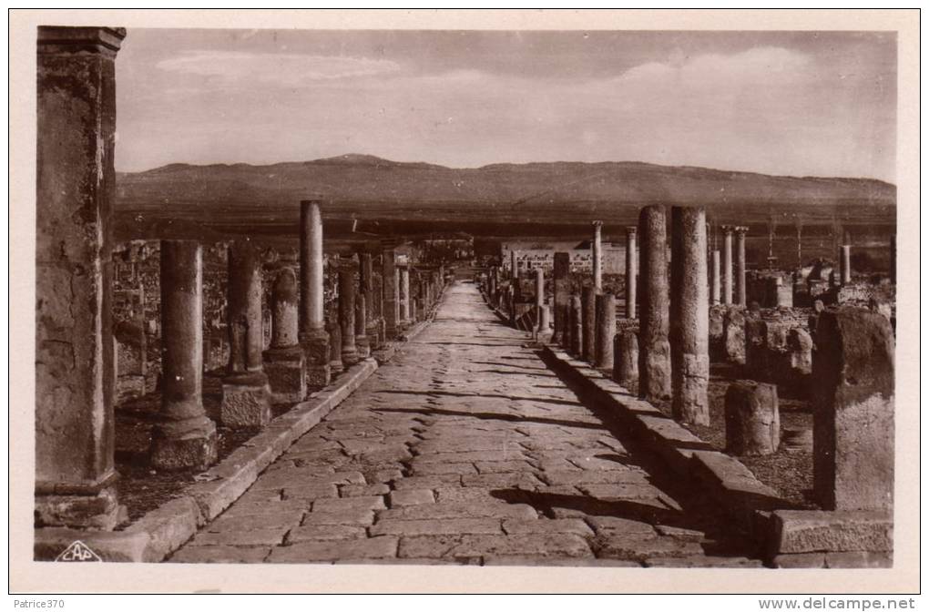 ALGERIE TIMGAD - LOT de 7 CARTES Ruines romaines