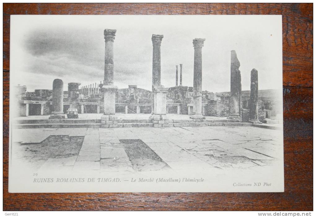 DZ - ALGERIEN - TIMGAD -Ruinenstadt - Le Marche (Macellum) l´hemicycle