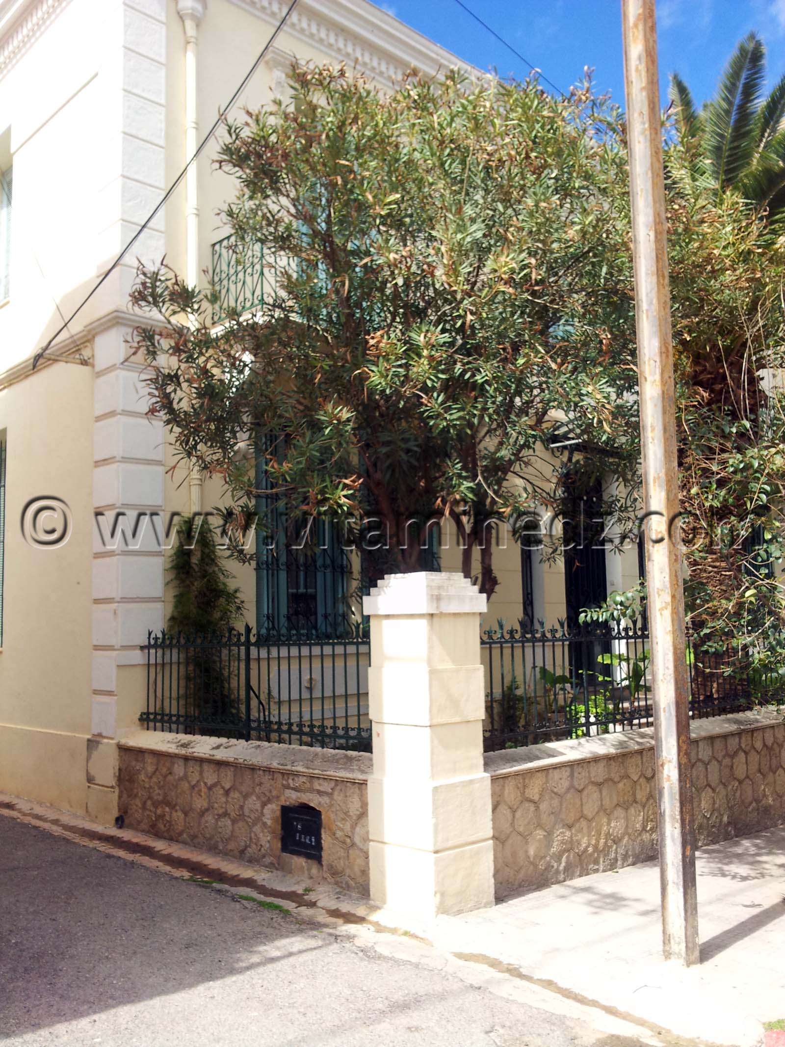Rues de Tlemcen  Villa Tebbal à Rue Dr Tidjani Damerdji, Fekharine