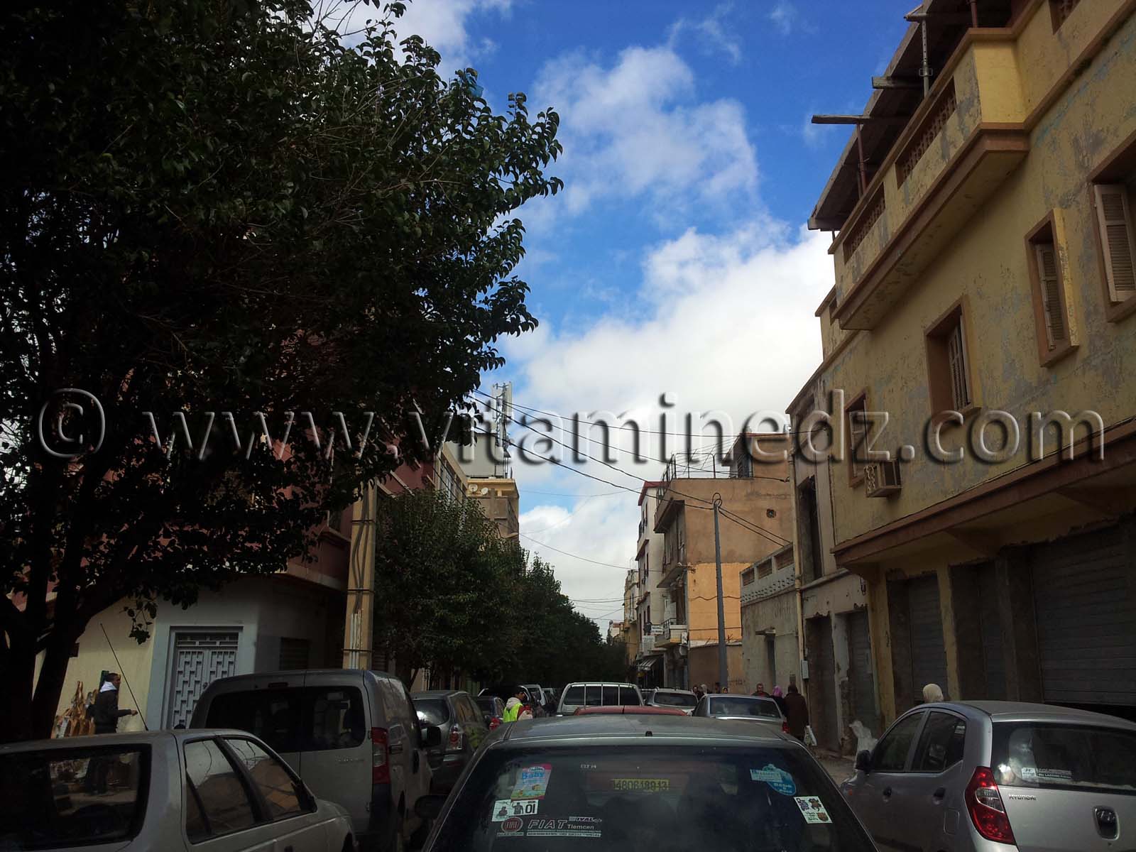 Rue de Paris, Tlemcen