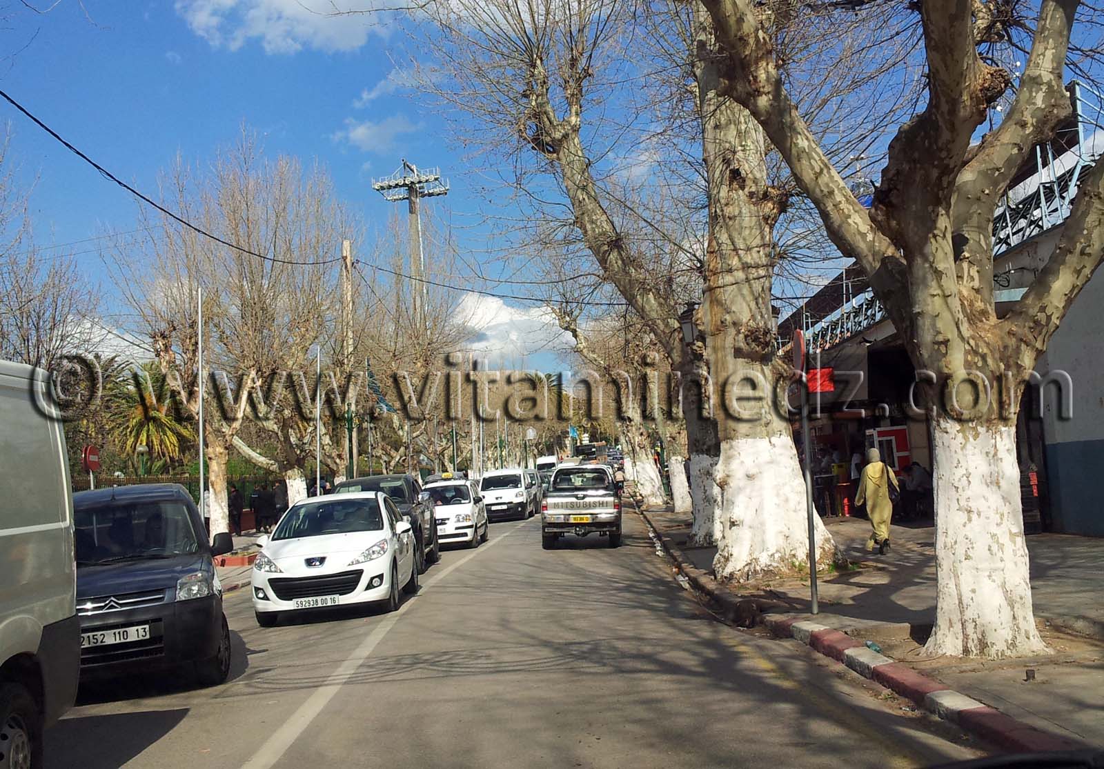 Rues de Tlemcen, Bd Mohamed V, Stade des 3 freres Zerga