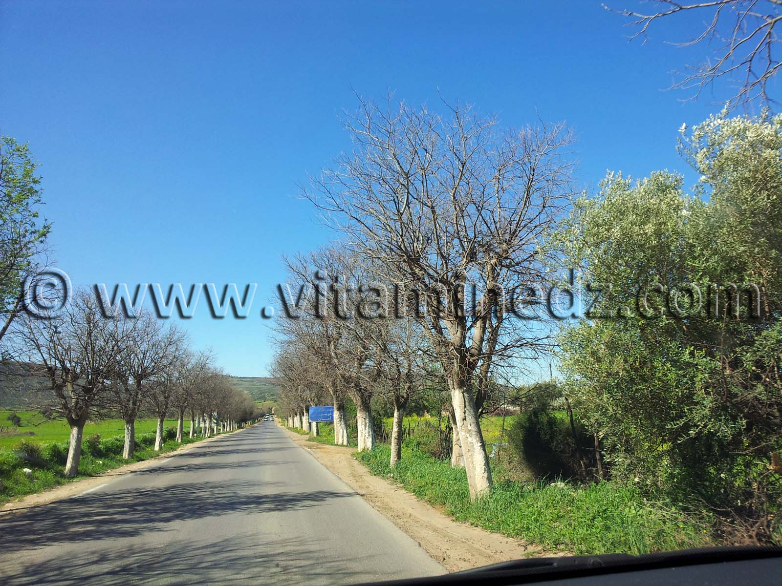 Mansourah Commune de Tlemcen  Route de Sabra