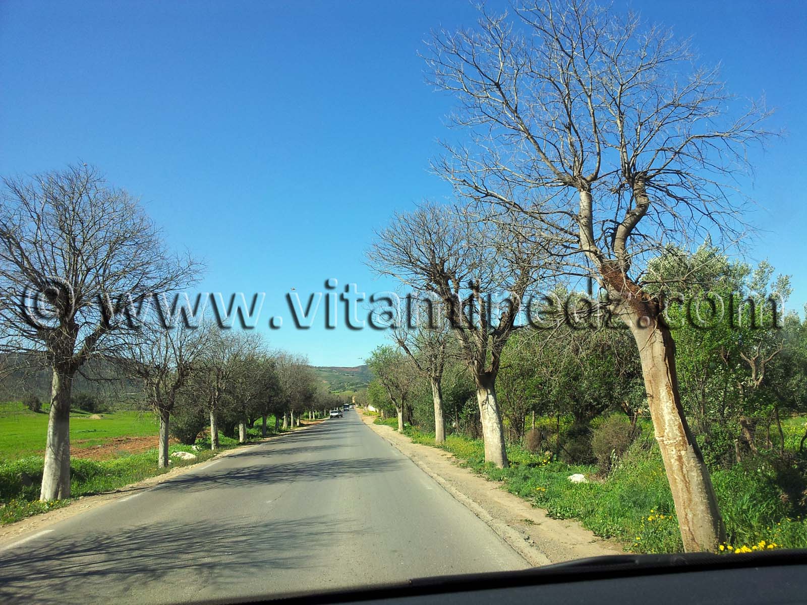 Commune de Mansourah - Tlemcen  Route de Sabra, Beni Mester