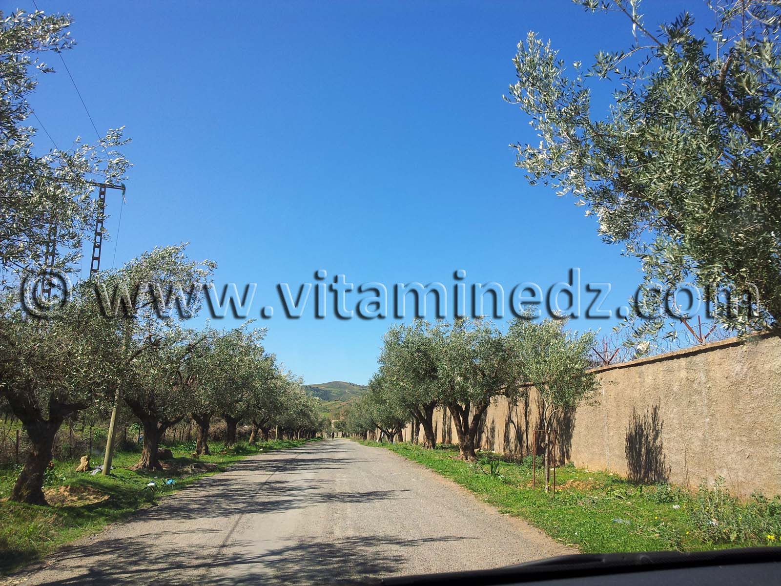 Mansourah Commune de Tlemcen