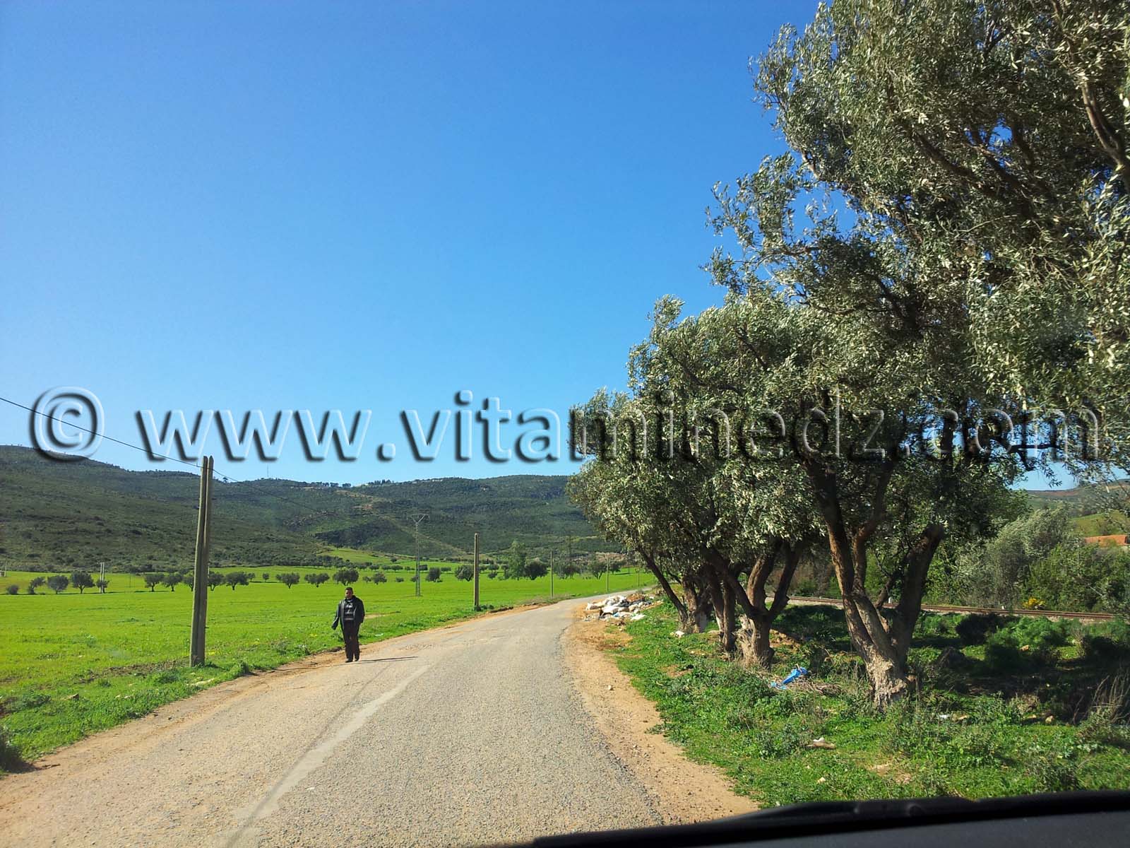 Mansourah Commune de Tlemcen