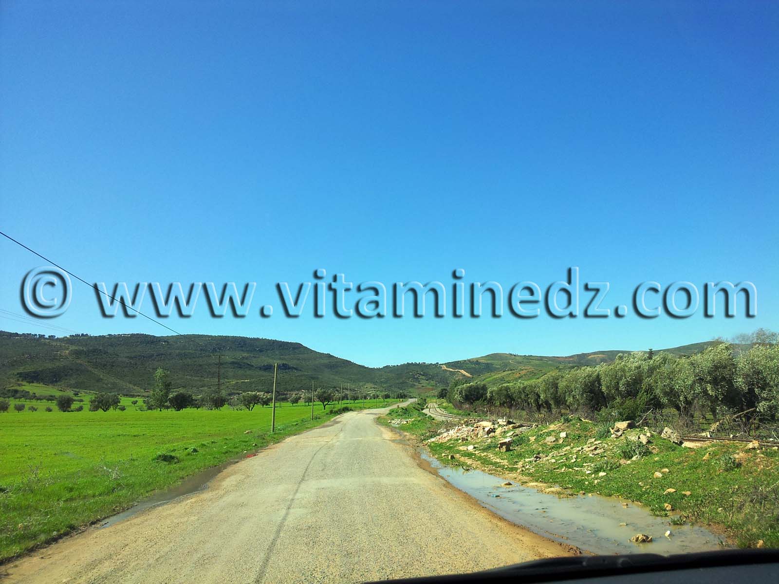 Mansourah Commune de Tlemcen