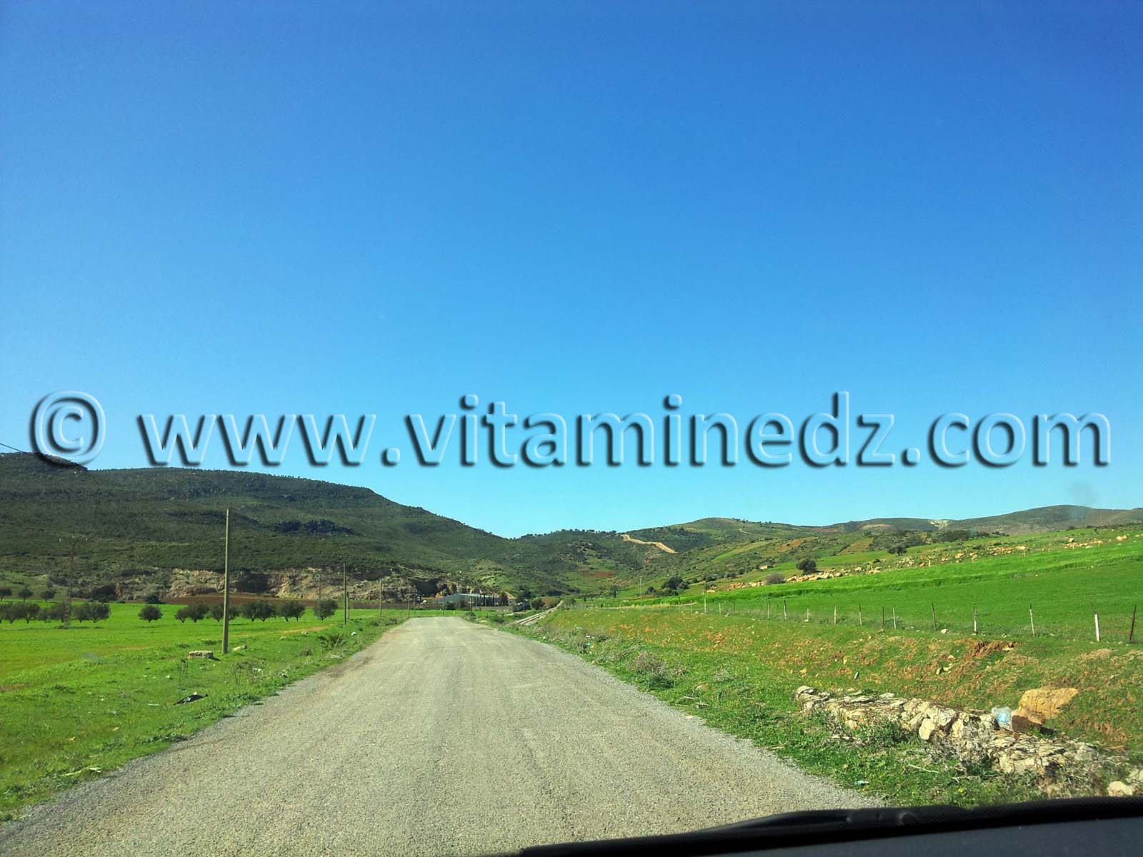 Mansourah Commune de Tlemcen