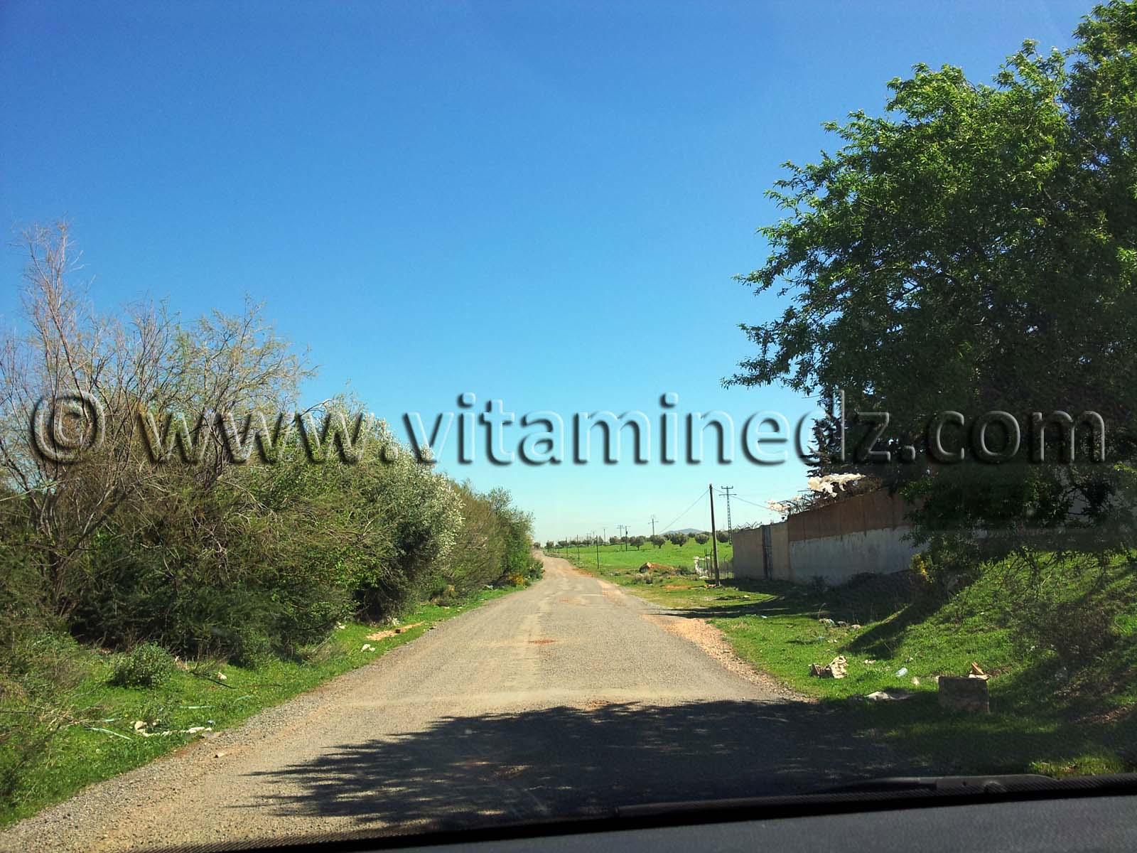 Mansourah Commune de Tlemcen