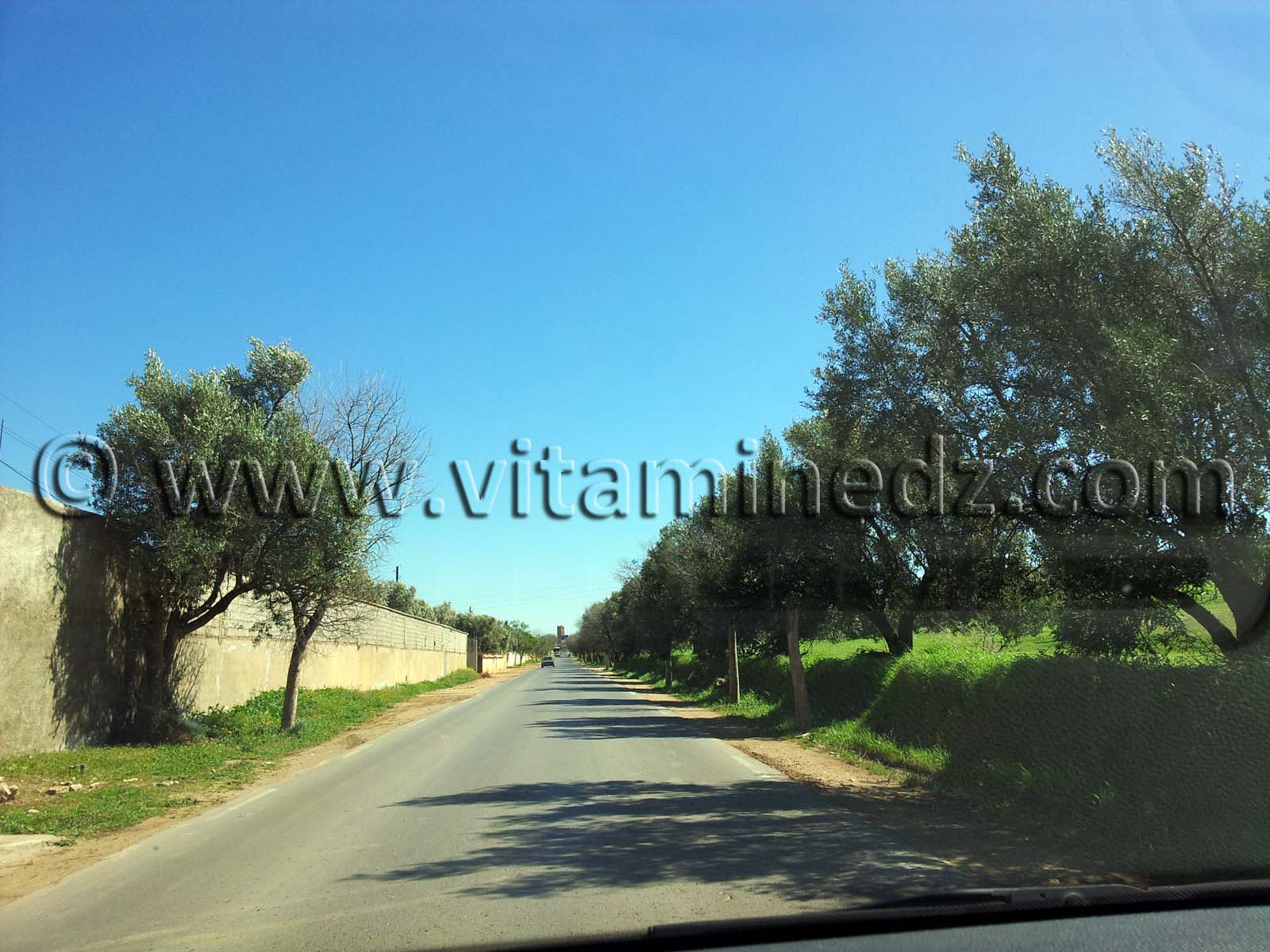 Mansourah Commune de Tlemcen