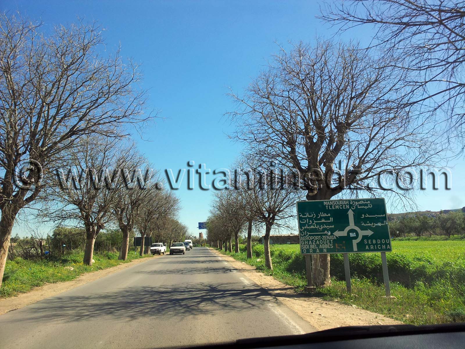 Mansourah Commune de Tlemcen