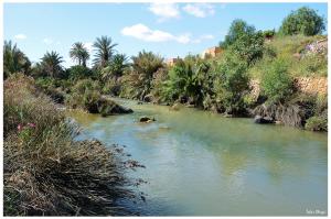 la rivière de Hammam Bouhanifia