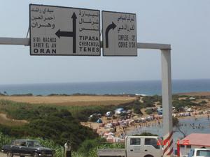 Préservation de l’environnement: Tipasa se soucie de l’avenir de ses espaces naturels