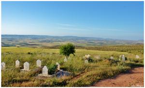 Hommage à nos défunts enterrés au Cimetière de Sidi Boussaïd