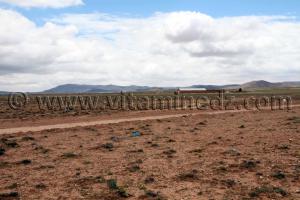 Tlemcen  Vaste plaine de Magoura, commune d\'El Bouih