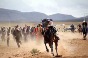 course hippique en direct, Magoura, Tlemcen