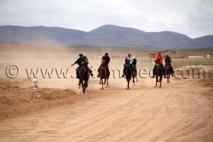 course hippique du jour de la waada de Magoura, Tlemcen