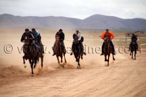 course cheval de la waada de Magoura, Tlemcen